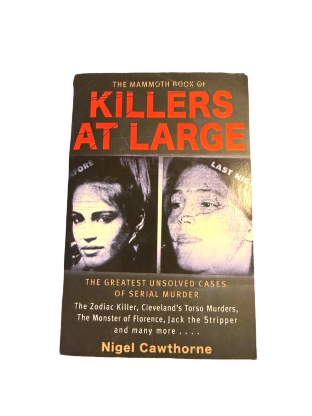 New Killers at Large Book